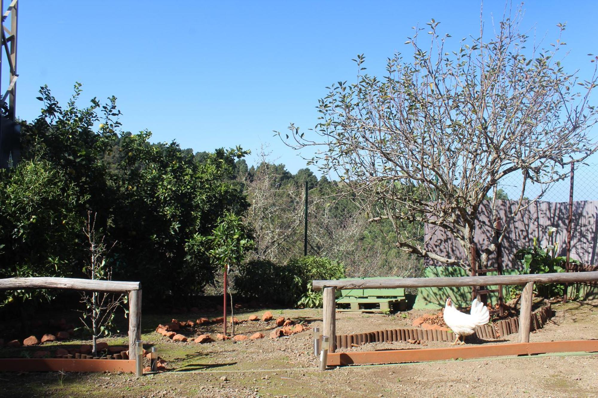 לאס פאלמס דה גראן קנאריה Finca Esther מראה חיצוני תמונה